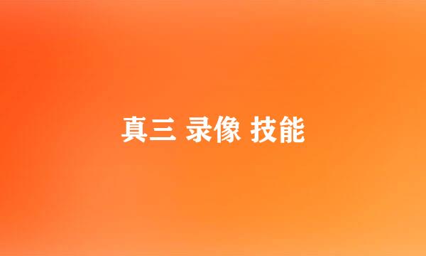 真三 录像 技能