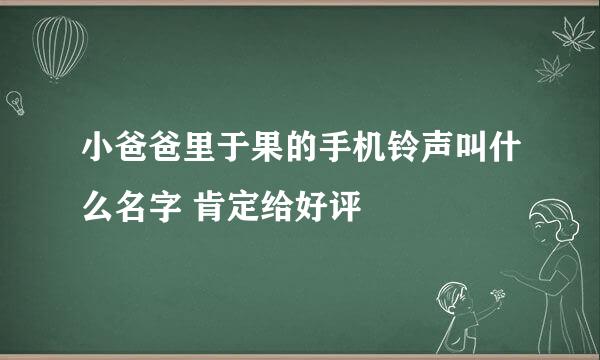 小爸爸里于果的手机铃声叫什么名字 肯定给好评