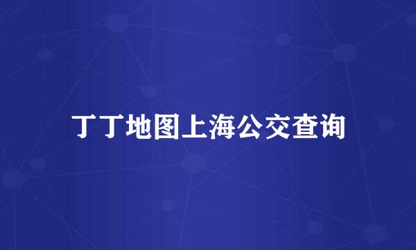 丁丁地图上海公交查询