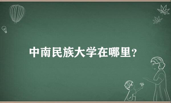 中南民族大学在哪里？