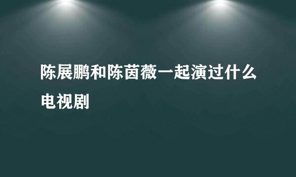 陈展鹏和陈茵薇一起演过什么电视剧