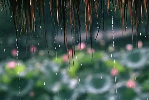 梅雨季节是什么时候？