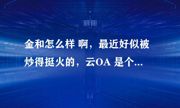 金和怎么样 啊，最近好似被炒得挺火的，云OA 是个什么东东，最为老板应该怎么选择管理软件呢