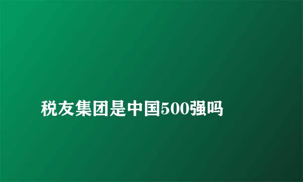 
税友集团是中国500强吗
