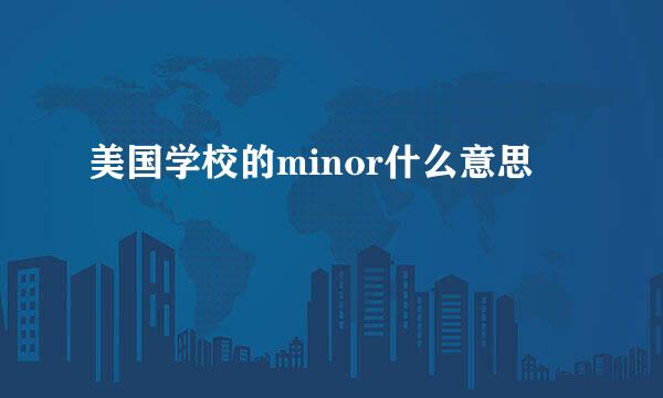 美国学校的minor什么意思