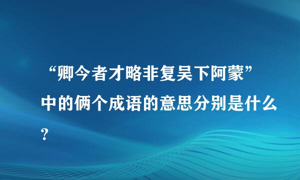 “卿今者才略非复吴下阿蒙”中的俩个成语的意思分别是什么？