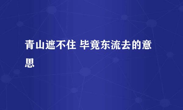 青山遮不住 毕竟东流去的意思