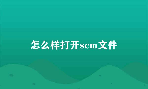 怎么样打开scm文件