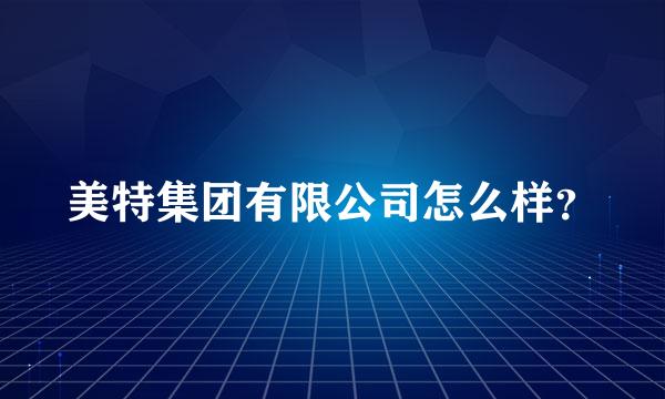 美特集团有限公司怎么样？