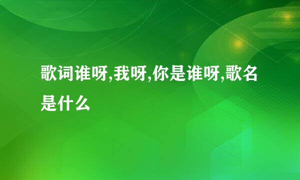 歌词谁呀,我呀,你是谁呀,歌名是什么