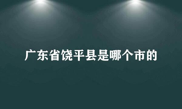 广东省饶平县是哪个市的