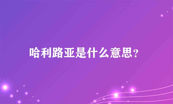 哈利路亚是什么意思？