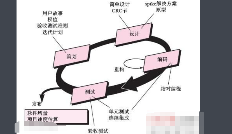 XP是什么？