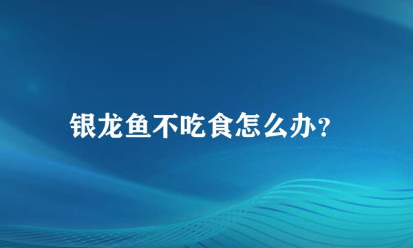 银龙鱼不吃食怎么办？