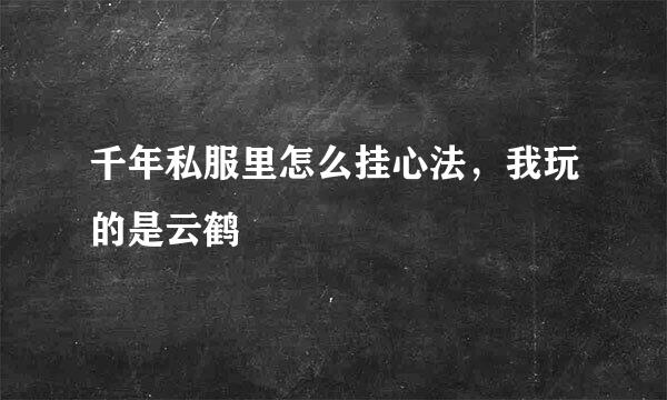 千年私服里怎么挂心法，我玩的是云鹤