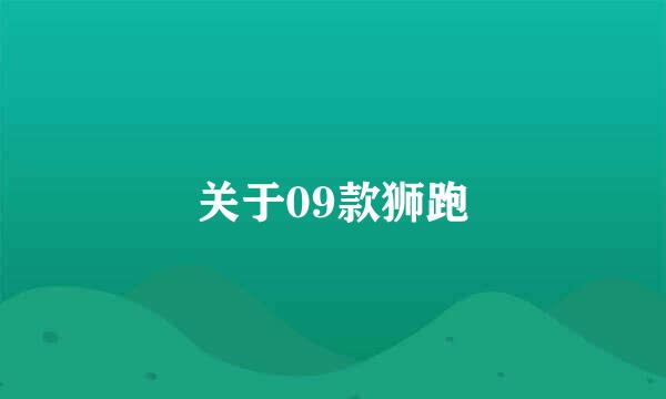 关于09款狮跑