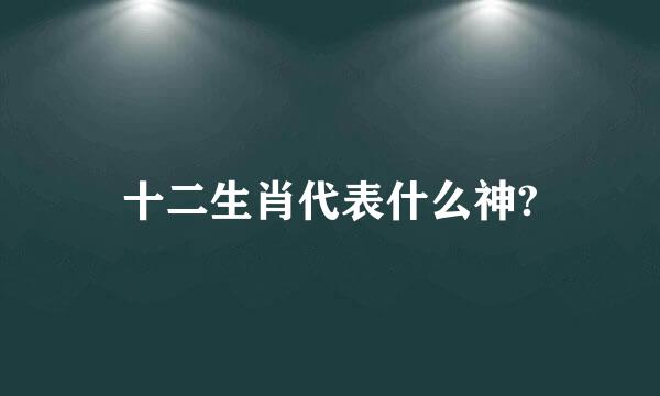 十二生肖代表什么神?