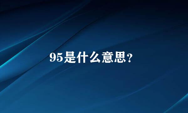 95是什么意思？