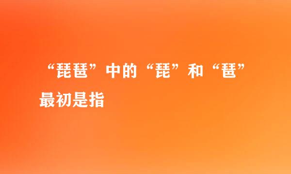 “琵琶”中的“琵”和“琶”最初是指