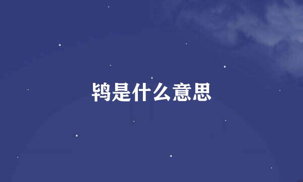 鸨是什么意思