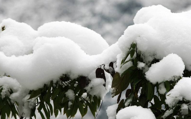 “瑞雪兆丰年”是什么意思