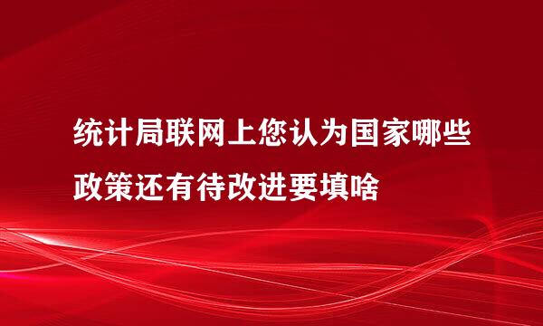 统计局联网上您认为国家哪些政策还有待改进要填啥