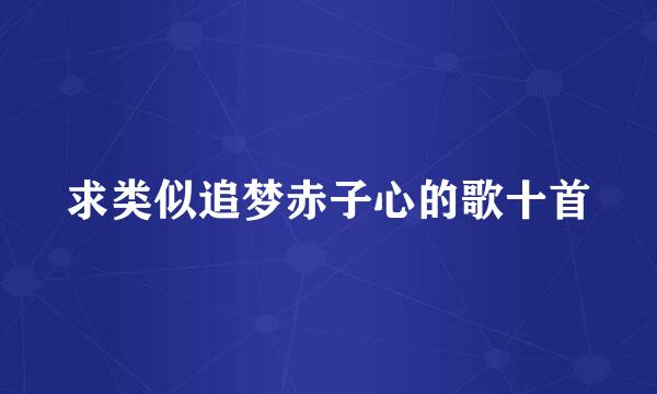 求类似追梦赤子心的歌十首