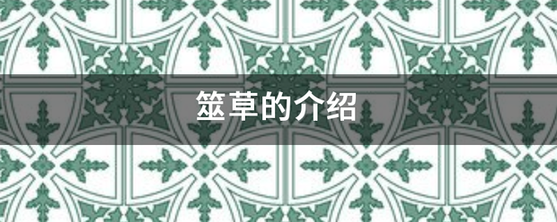 筮草的来自介绍