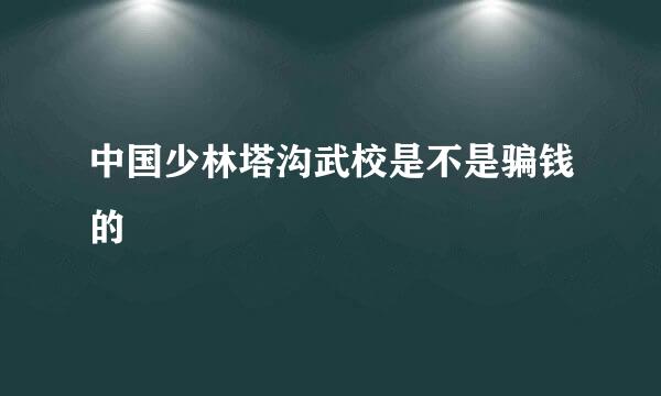 中国少林塔沟武校是不是骗钱的