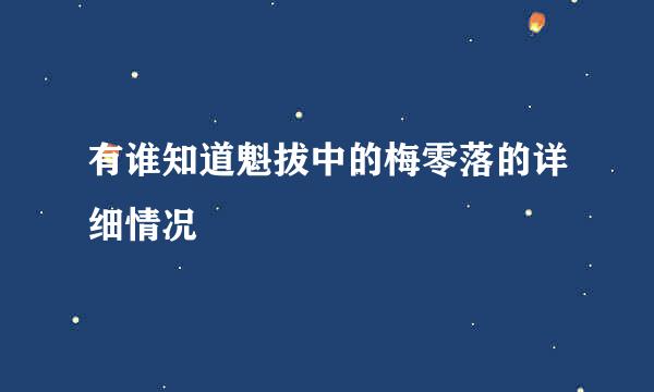 有谁知道魁拔中的梅零落的详细情况