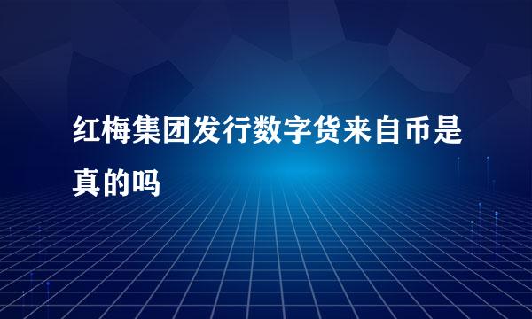 红梅集团发行数字货来自币是真的吗