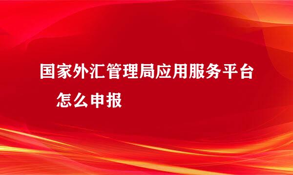 国家外汇管理局应用服务平台 怎么申报