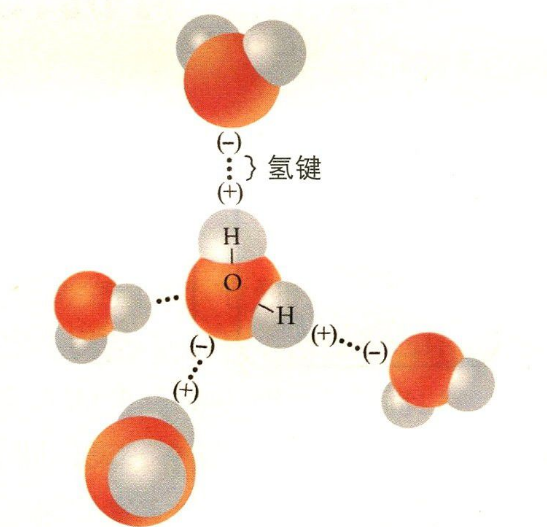 分子内氢键和分子间氢键的共同点和区别