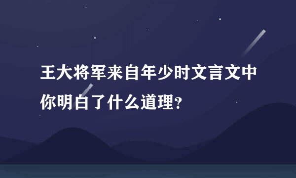 王大将军来自年少时文言文中你明白了什么道理？