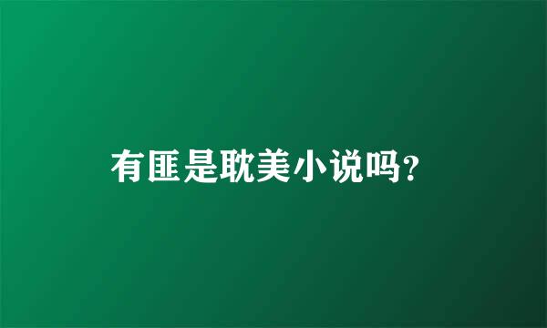 有匪是耽美小说吗？