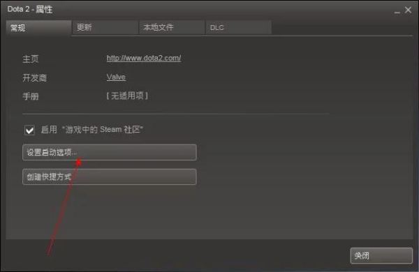 dota2启动项里-console和-perfectworld steam可以同时输？