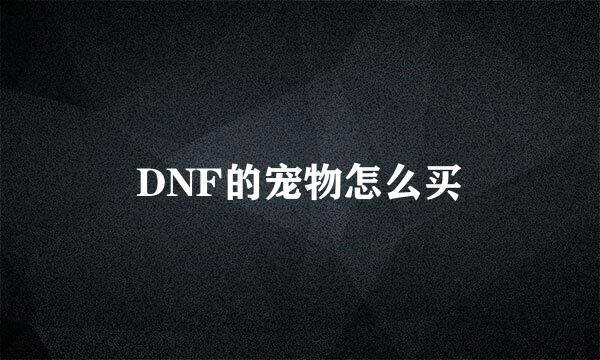 DNF的宠物怎么买