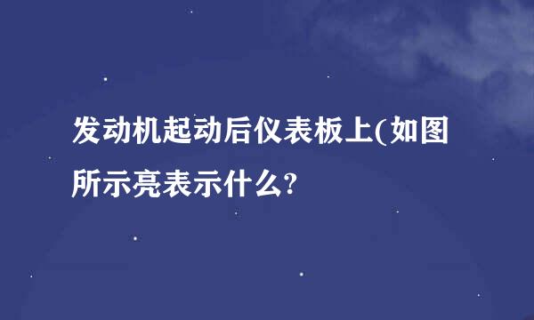 发动机起动后仪表板上(如图所示亮表示什么?