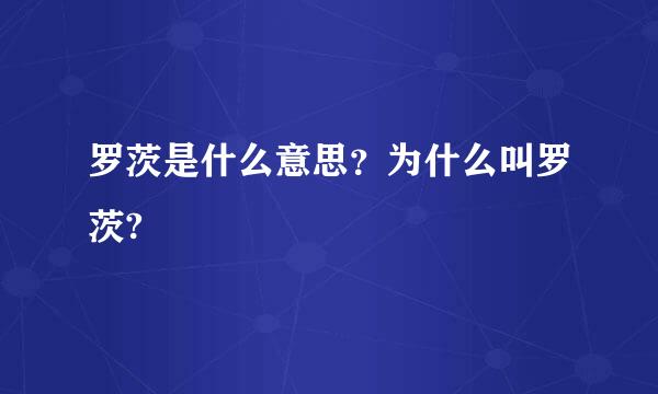 罗茨是什么意思？为什么叫罗茨?