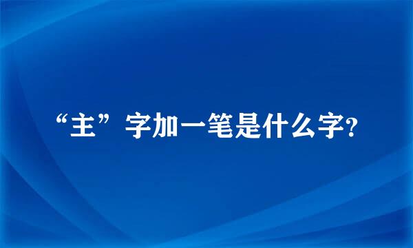 “主”字加一笔是什么字？