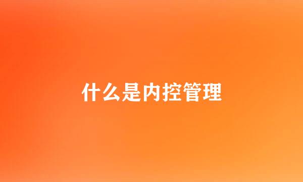 什么是内控管理