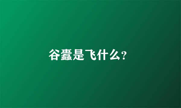 谷蠹是飞什么？