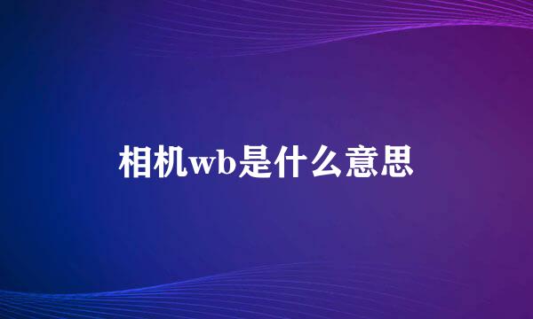 相机wb是什么意思