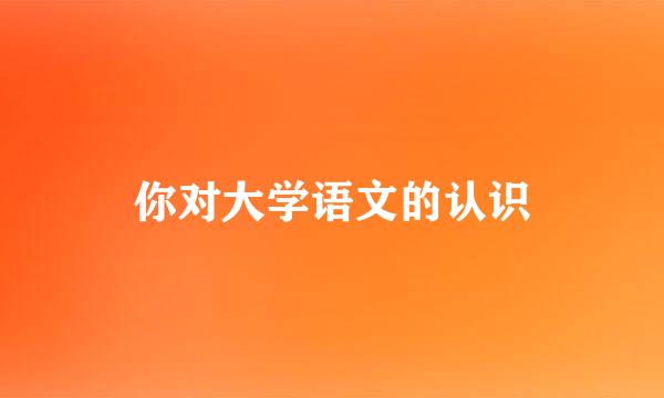 你对大学语文的认识