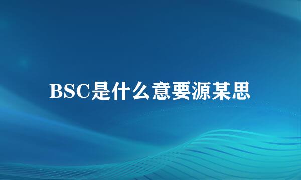 BSC是什么意要源某思