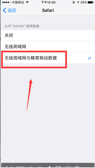 iphone打开Safari，显示Safari打不开网页，因为它尚未接入互联网是怎么回事?