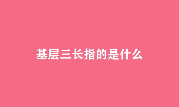 基层三长指的是什么