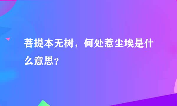 菩提本无树，何处惹尘埃是什么意思？