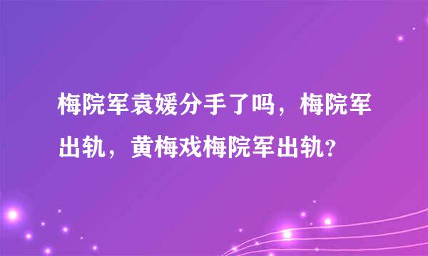 梅院军袁媛分手了吗，梅院军出轨，黄梅戏梅院军出轨？