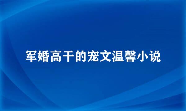 军婚高干的宠文温馨小说